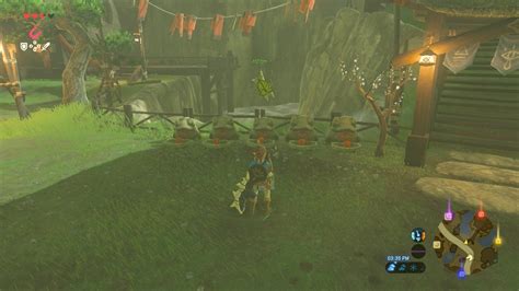 breath of the wild korok leaf|korok leaf lurelin village.